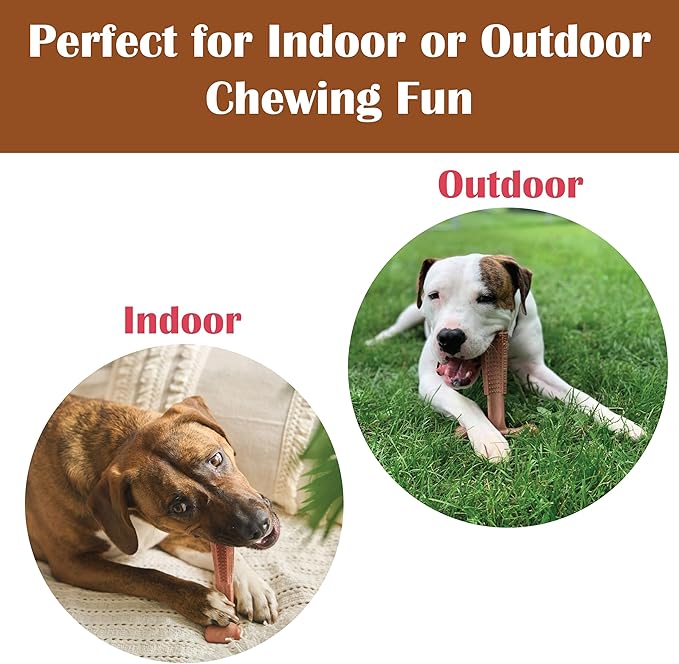 SPOT Bam-Bones Plus T Bone – Bamboo Fiber & Nylon Dog Chew Toy for Moderate to Aggressive Chewers, Durable Long Lasting & Non-Splintering, Beef Flavor Toy for Adult Dogs & Puppies Under 60 lbs, 6 in