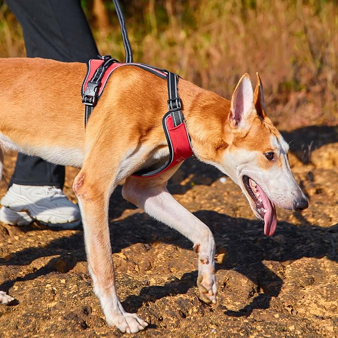 EXCELLENT ELITE SPANKER Nylon Reflective Dog Harness Adjustable No Pull Lightweight EVA Padded Vest Nameplate-Front Clip Service Dog Harness with Buckle for Medium Large Dogs (Red, M)