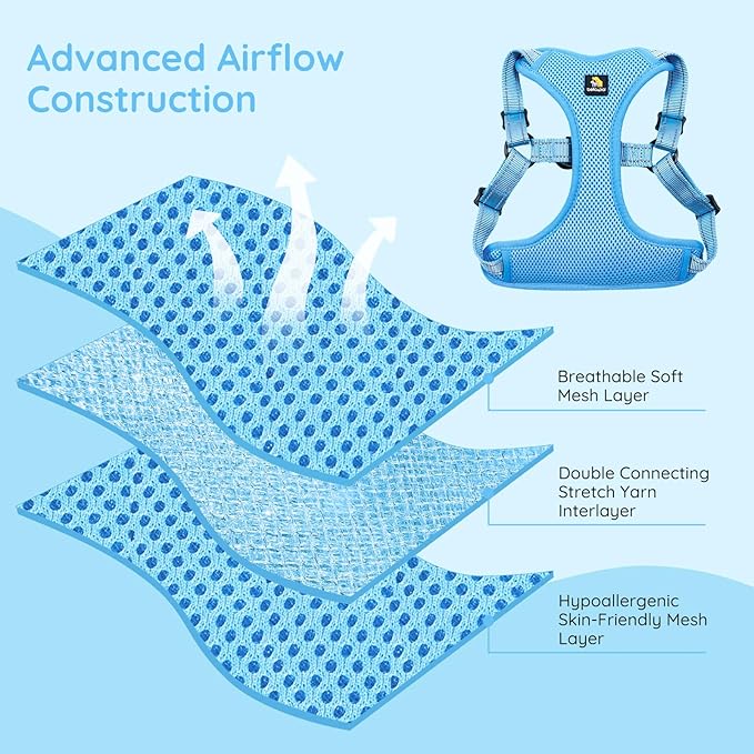 BELLA & PAL Adjustable Step-in Dog Harness, Puppy No-Pull Vest with Leash Set for XS/Small & Medium Dog, Breathable All-Weather Mesh, Reflective Strip, Secure Hook & Loop, Buckle Closure