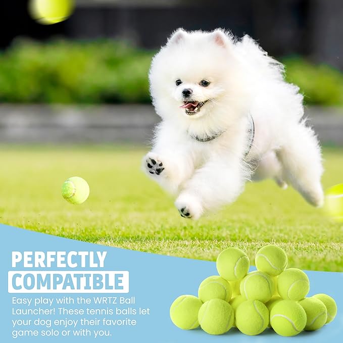 12 Small Tennis Balls for Dogs | 2 Inch Dog Fetch Toys for Your Smaller Pups | Non-Abrasive for Smaller Mouths | Interactive Dog Toys for Boredom & Fun | Works with Ball Launcher for Small Dogs