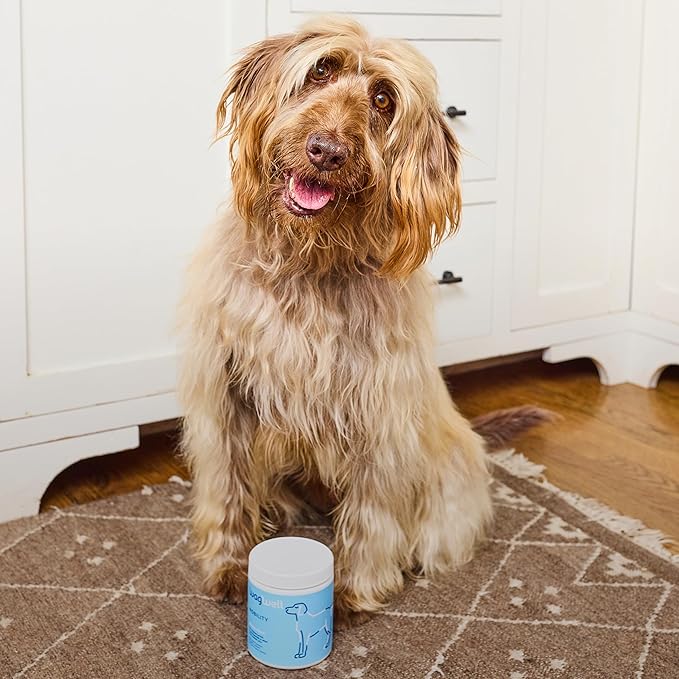 WagWell Mobility Chews – Vet-Formulated, All Natural, Made in The USA – Joint Supplement for Dogs with Glucosamine & Chondroitin – Helps Reduce Inflammation & Promotes Joint Health, 60 Chews