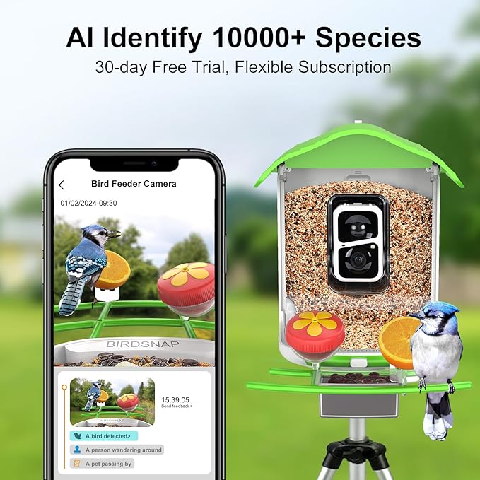 birdsnap® PAV- Smart Bird Feeder with Camera Solar Powered, 64GB Card & 2K HD Record Video Bird Camera Live with 5 DIY Add-ons, AI Identify Auto Capture, Ideal Gift for Birds Lover