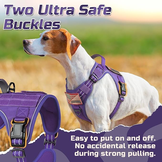 rabbitgoo Tactical Dog Harness Medium Sized Dog, No Pull Military Service Vest with Handle & Molle, Easy Control for Training Walking, Adjustable Reflective Straps, Purple, M