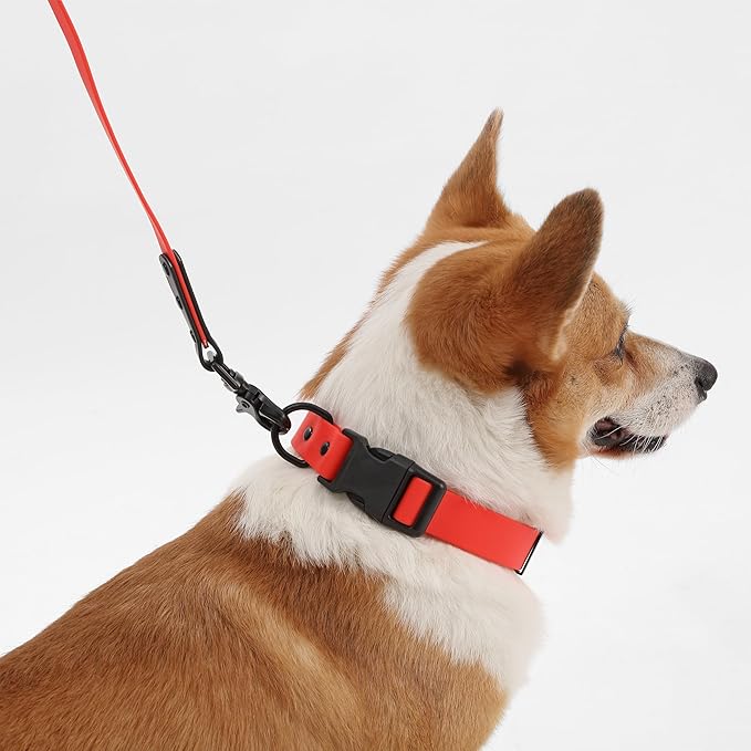 WLK1005M-5SET Luna Medium 8FT Adjustable 6-in-1 Waterproof Hands-Free Leash and Collar with LED Flashlight, Bag Dispenser, and Poop Bag Holder, Shirley