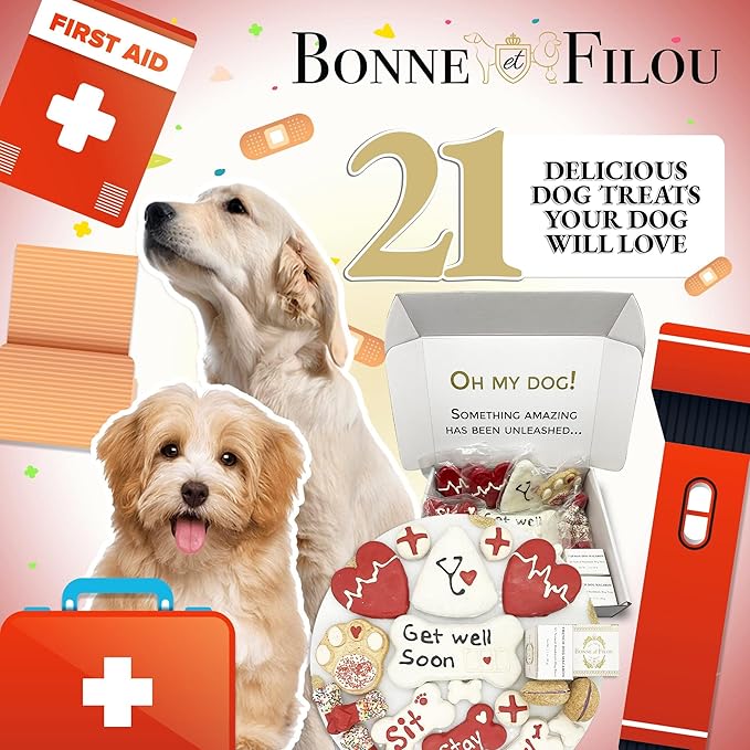 Bonne et Filou Get Well Soon Dog Treats, Gourmet Gift Box, 21 Luxury Macarons, Truffles & Bone Cookies, Healthy & Delicious Snacks for Medium to Large Dogs