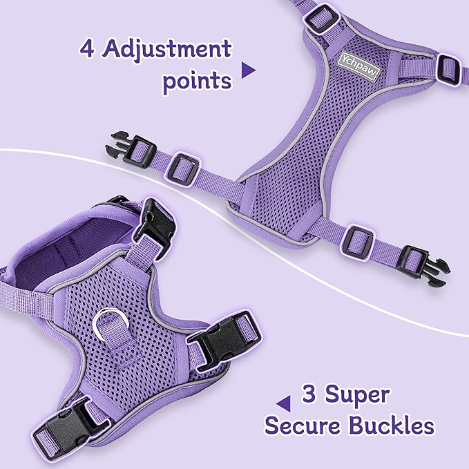 Small Dog Harness and Leash Set, Reflective Soft Breathable Mesh Vest, 3 Buckles, Adjustable Neck and Chest,Step in Dog Harness for Walking, Running, Training, Purple, S