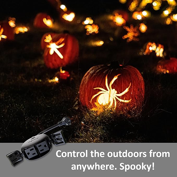 Legrand Wi-Fi Outdoor Dual Output Matter Smart Plug, Effortless Setup, Enhanced Compatibility with Apple HomeKit, Google Home, Alexa & SmartThings, Matter Smart Home, Pack of 1 WWMP31