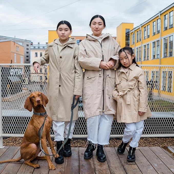 Roses&Poetry Hands Free Dog Leash for Medium Large Dogs Heavy Duty, No Pull Bungee Dog Running Waist Leash for Walking Training with Car Seatbelt 4-6FT