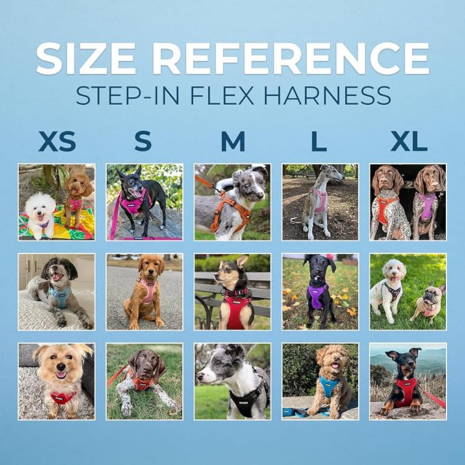 Best Pet Supplies Voyager Mesh Dog Breathable Harness Reflective Stitching, All Weather Adjustable for Walking Training, or Running - Heavy Duty & Durable, Harness (Royal Blue), XS