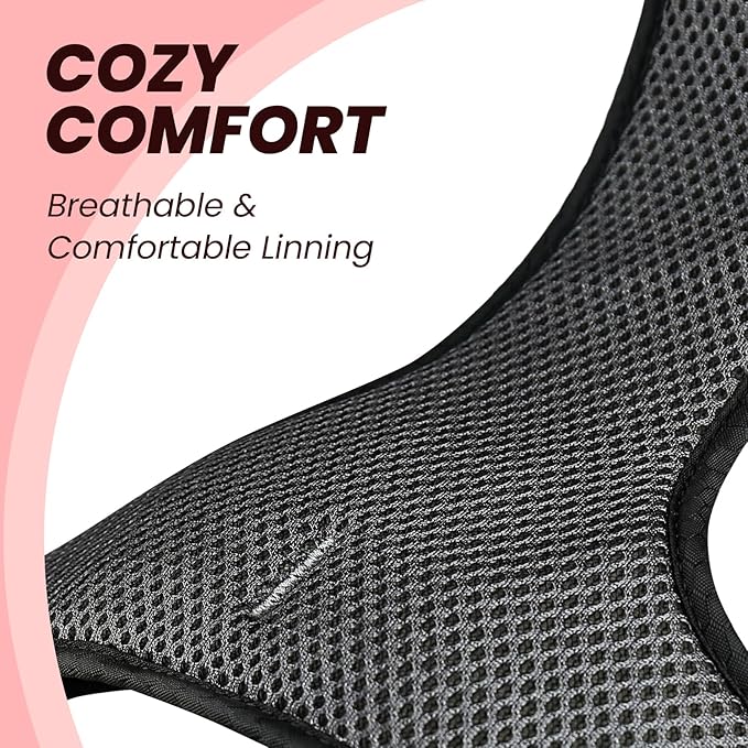 VIVAGLORY Dog Harness Easewalk No Pull Dog Harness with Handle & Front Back Clip for Training Lifting, Easy On Adjustable Padded No Pull for Pet & Puppy, M, Red