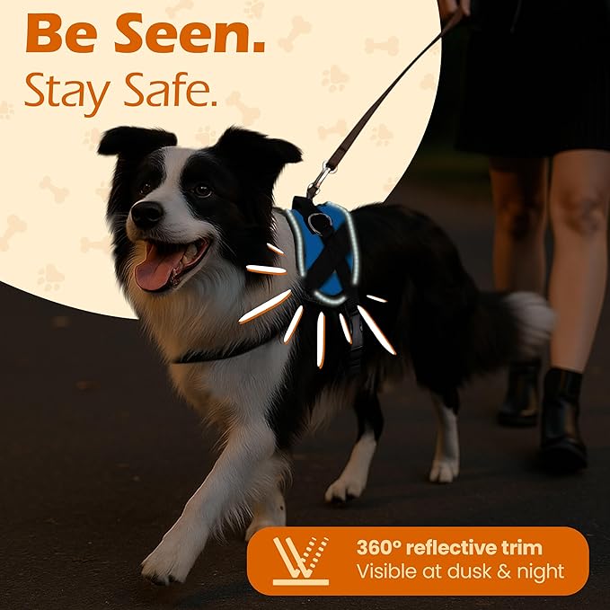 Bark Appeal Aqua Blue No-Pull Dog Harness for Extra Large Sized Pets – Adjustable, Reflective Vest with 3 Leash Clips for Added Control, Easy Walks & Training – XXL