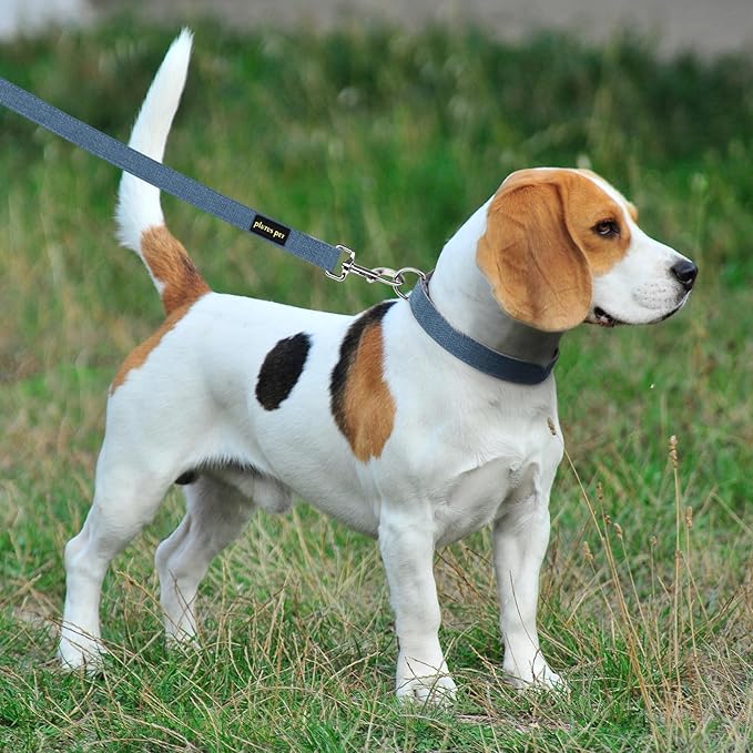 Plutus Pet Cotton Hemp Dog Collar and Leash Set, Adjustable Collar for Small, Medium, and Large Dogs, Heavy Duty and Soft on Skin, Haze Blue, XS