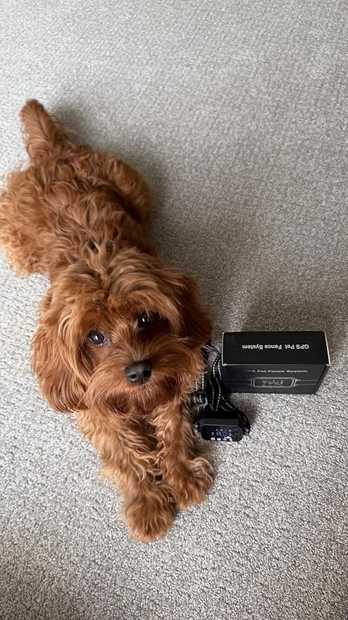 Furthrive GPS Dog Collar, Wireless Dog Fence 100–3280 ft Circular Boundary, Waterproof GPS Dog Collar Fence System Outdoor Electric Pet Barrier with Beep, Vibration & Adjustable Training