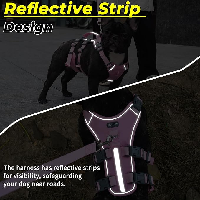 Escape Proof Dog Harness and Leash Set, Lightweight Dog Harness with Lift and Assist Handle, No Pull Reflective Pet Vest for Small Medium Dogs, Ideal for Puppy Walking and Training (Pink, S)