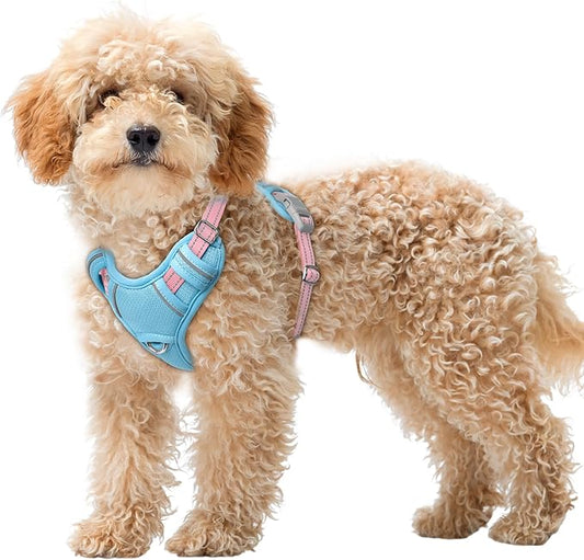 BARKBAY No Pull Dog Harness Large Reflective Dog Harness with Front Clip and Easy Control Handle for Walking Training Running with ID tag Pocket(Baby Blue & Baby Pink,XS)