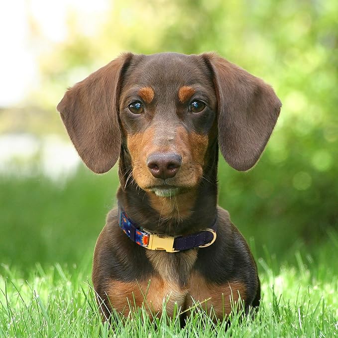 AirTag Dog Collar for Small Medium Large Breed - Adjustable Cute Pattern Dog Collar with Airtag Holder - Soft Leather Tracker GPS Apple Air Tag Pet Collars (Medium, 14"-18" Neck Fit, Navajo)