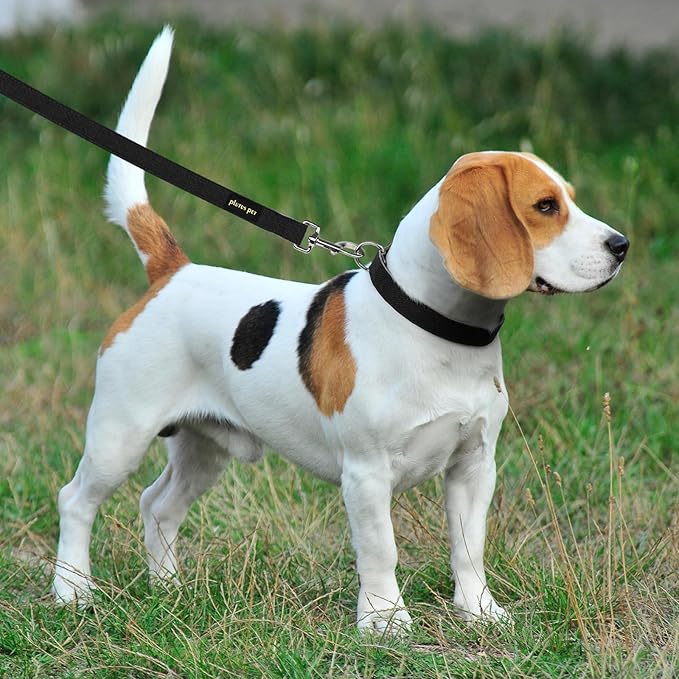 Plutus Pet Cotton Hemp Dog Collar and Leash Set, Adjustable Collar for Small, Medium, and Large Dogs, Heavy Duty and Soft on Skin, Black, M