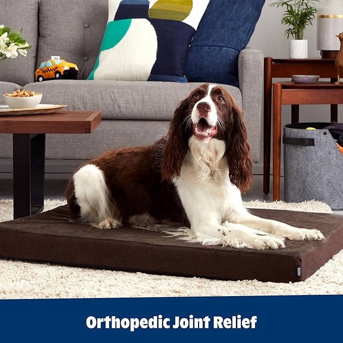 Barkbox Orthopedic Dog Bed with Memory Foam, Premium Comfort for Dogs and Puppies, Dog Bed for Joint Relief and Restful Sleep, Durable and Easy to Clean - Espresso, Large