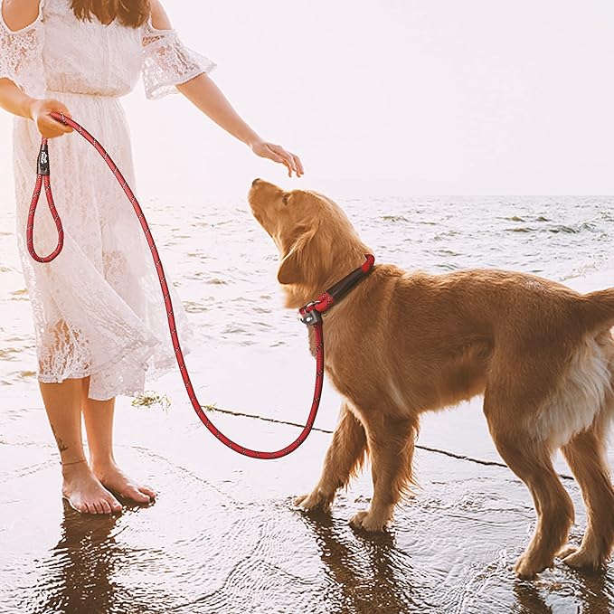 TwoEar Slip Leads for Dogs, 1/2" x 6FT Slip Leash for Large Dogs with Highly Reflective Threads, Comfortable Strong Rope Slip Leads, No Pull Pet Training Leash, Red
