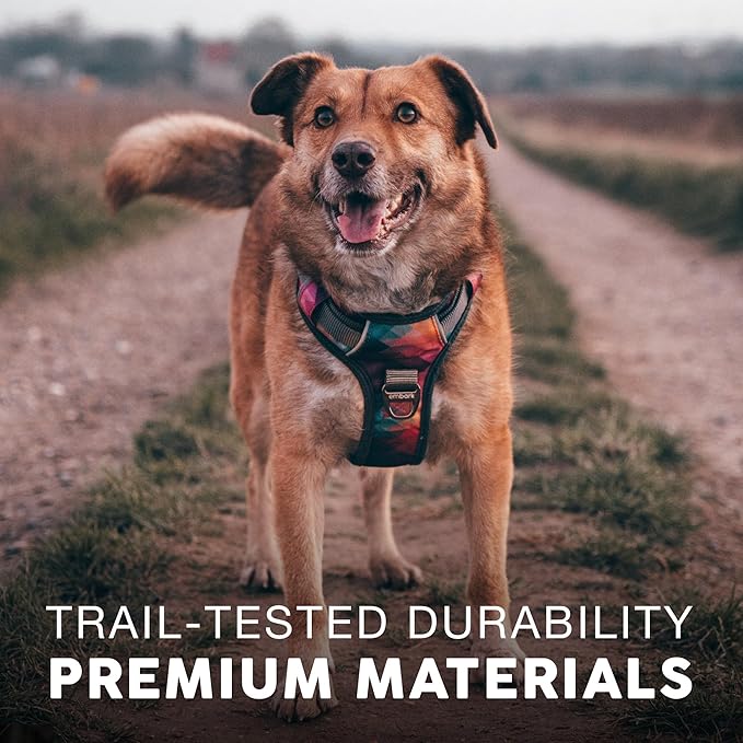 Embark Adventure No Pull Dog Harness, Reflective Trim No Pull Harness for Medium Sized Dog - Military Grade Nylon, Front Clip with Gel Lined Handle. Soft & Padded Puppy