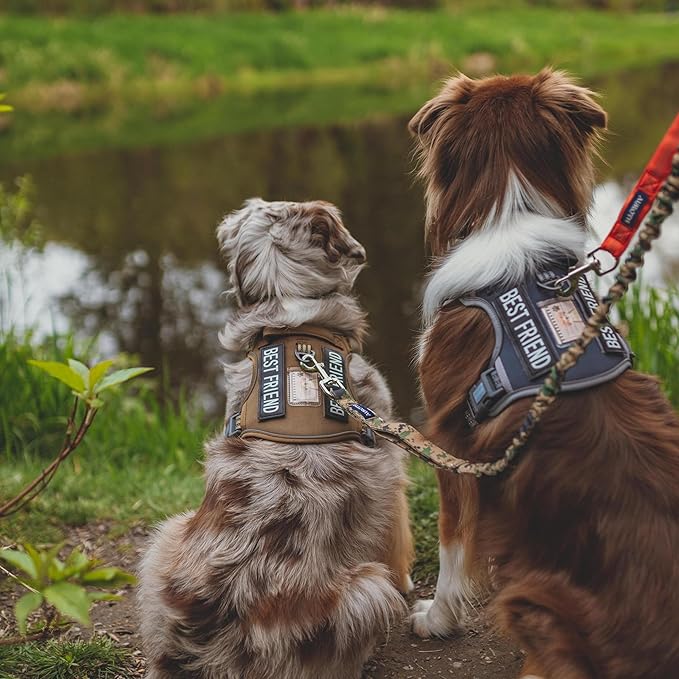 AUROTH Tactical Dog Harness for Small Medium Dogs No Pull Adjustable Pet Harness Reflective K9 Working Training Easy Control Pet Vest Military Service Dog Harnesses Desert Camo S