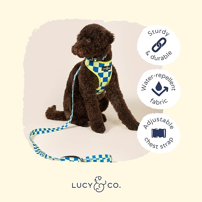 Lucy & Co. Lime Green with Blue Checker Smiley Faces, Cute Reversible Dog Harness Walking Halter - Best Designer Pet Harnesses for XS - XL Dogs - Padded Adjustable Vest for Easy Walking (Large)