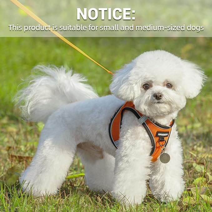 Dog Harness and Leash Set, Dog Harness for Dogs No Pull, No-Chock Step-in Reflective Breathable Lightweight Easy Walk Vest Harnesses with Safety Buckle for Small Medium Dogs, Cats (Orange, S)