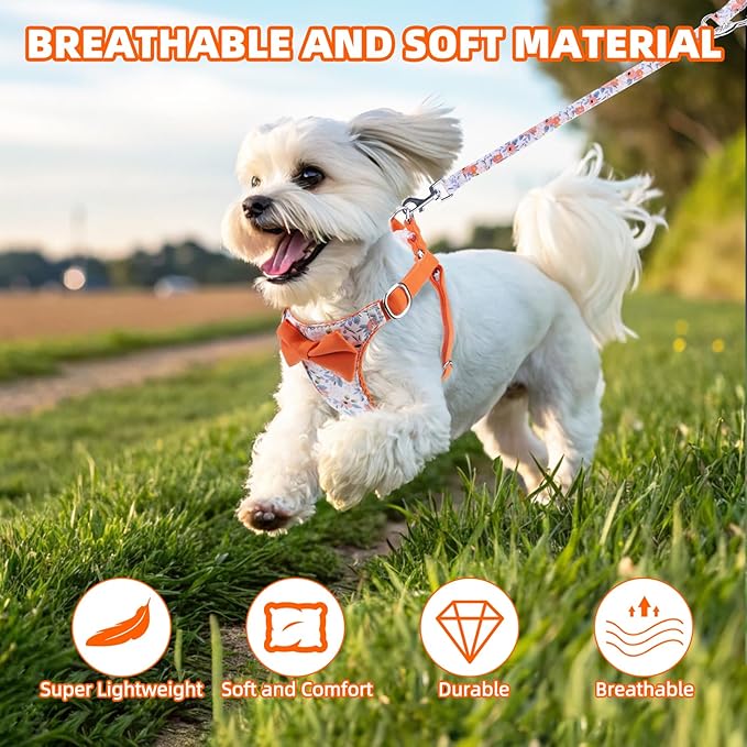 PUPTECK Dog Harness and Leash Set Small Sized, Step-in Cute Puppy Harness, Soft Lightweight Padded Vest, Escape Proof No Pull Pet Harnesses Easy for Walking, Flower Orange, XXS