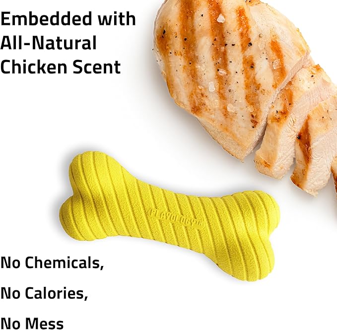 Playology Dog Toys | Dual Layer Bone Durable Chew Toy Bone for Dogs (Value 2-Pack) | Medium Chicken Scented Toy - Easy to Clean and Made from Non Toxic Materials