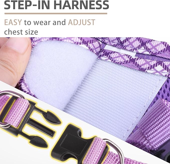 PUPTECK Dog Harness and Leash Set for Small Medium Dogs No Pull Step-in Soft Mesh Puppy Cat Vest Harnesses Reflective at Night, Upgraded New Purple XS