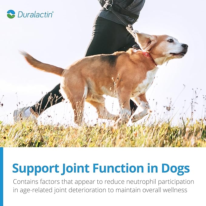 PRN Pharmacal Duralactin Canine Soft Chews - Joint Health Supplement for Dogs & Puppies to Help Reduce Chronic Soreness - Canine Chews Containing Dried Milk Protein - Chicken-Liver Flavor - 60 Chews
