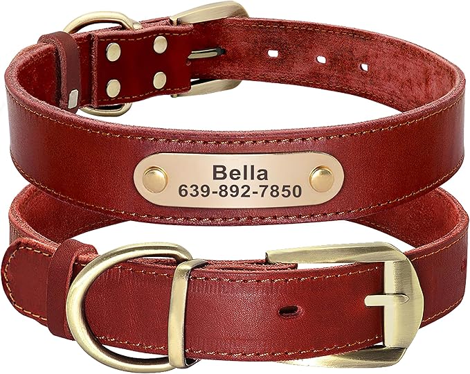 Didog Genuine Leather Dog Collars with Engraved Nameplate, Personalized Soft Leather Dog Collar with Custom ID Tag, Brown/Green/Red for Small Dogs (S,Red)