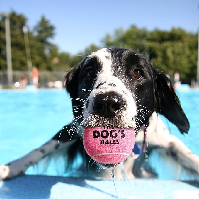 The Dog's Balls, Dog Tennis Ball, Pink 12-Pack, Strong Toy for Agility Training, Puppy Training, Play, Exercise & Fetch, 2.5 Inch Diameter