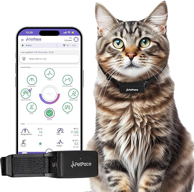 New PetPace V3.0 Cat Health Monitor by PetPace – AI Health Collar with 24/7 Vital Signs Alerts, GPS, Telehealth Consults, AskaVet & Share with Your Vet & SmartWatch Sync – Subscription Required