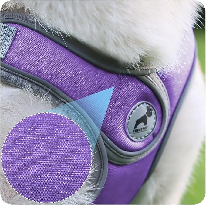 Dog Harness with Leash Set, Puppy Harnesses with Breathable Padded for Small Dogs Walking Escape Proof (XS, Purple)