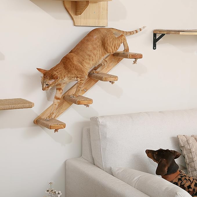 FUKUMARU Cat Climbing Shelf Wall Mounted, Four Step Cat Stair with Jute Scratching for Kitten Walls Shelves Furniture - Large