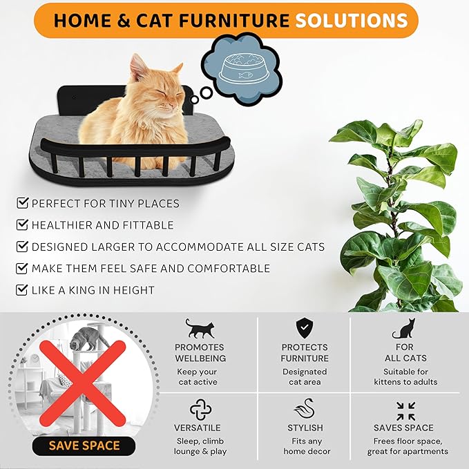 Cat Wall Shelves with 3 Steps – Modern Wood Wall Mounted Furniture, Climber & Perch Shelf for Cats up to 30lbs – Sturdy Floating Bed for Large Cats - Black