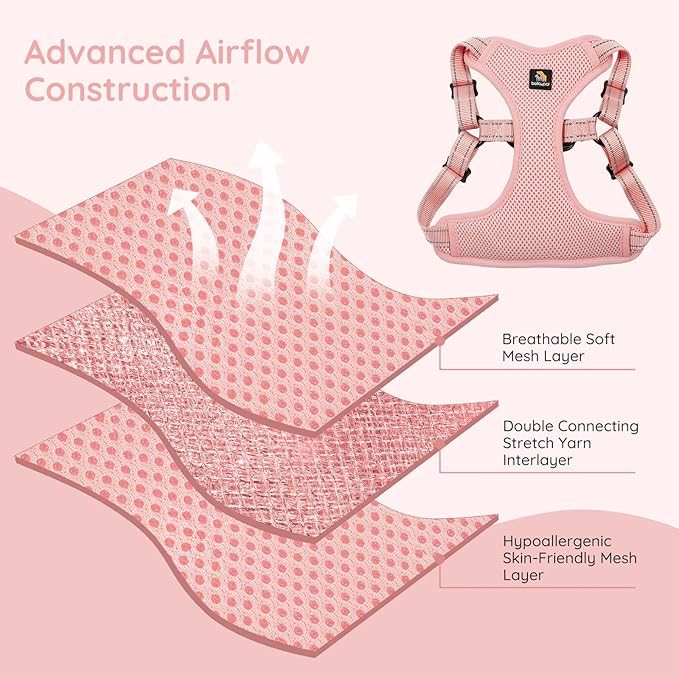 BELLA & PAL Adjustable Step-in Dog Harness, Puppy No-Pull Vest with Leash Set for XS/Small & Medium Dog, Breathable All-Weather Mesh, Reflective Strip, Secure Hook & Loop, Buckle Closure