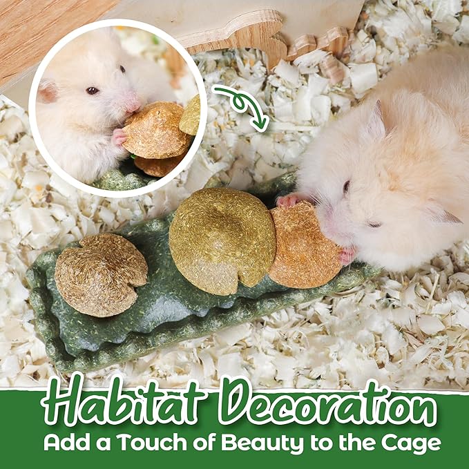 TEEWY Guinea Pig Chew Toys, Prevent Teeth Overgrowth, Natural Timothy Grass & Vegetables, Hamster Chew Toys, Guinea Pig Toys, Chinchilla Toys, 4PCS, Grass Patch & Mushrooms