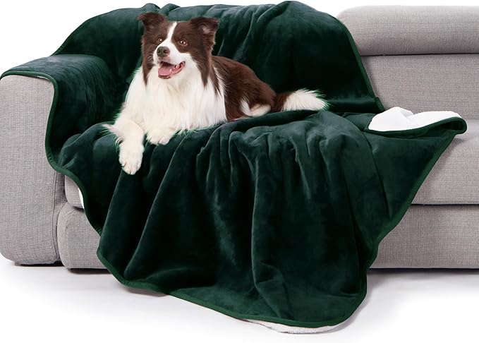 gogobunny Waterproof Bed Blanket, Reversible Sherpa Fleece Throw Blanket for Dog Puppy Cat, Furniture Cover Protects Bed Couch Sofa from Liquid Pee and Pet Fur (Forest Green, 60x80 inches)