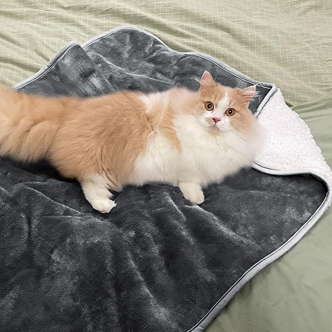 Waterproof Blanket for Bed Couch Sofa, Soft Liquid Pee Proof Pet Blanket for Dog Puppy Cat, Reversible Sherpa Fleece Furniture Protector (Dark Grey, 30x40 inches)