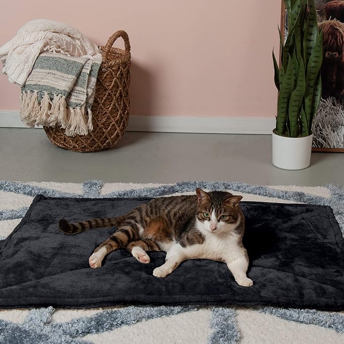 Furhaven ThermaNAP Self-Warming Cat Bed for Indoor Cats & Large/Medium Dogs, Washable & Reflects Body Heat - Quilted Faux Fur Reflective Bed Mat - Black, Large