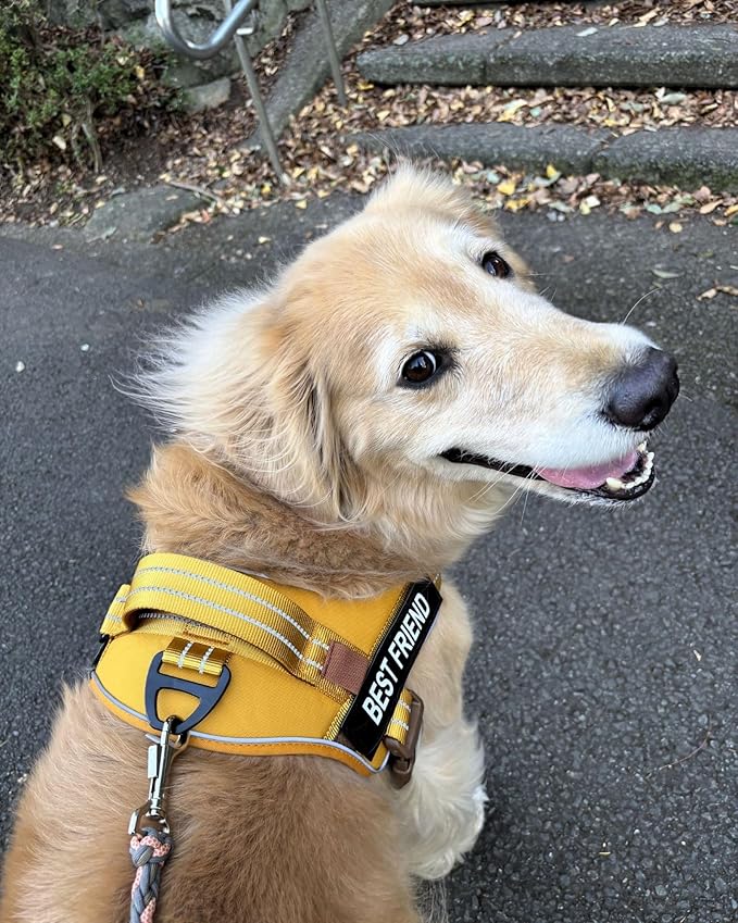 AUROTH Dog Harness and Leash Set, Soft Padded Vest Harness with 5.25FT Dog Leash, Easy On Pet Vest, Adjustable Reflective No Pull Dog Harnes Medium Sized, Easy Walking and Training