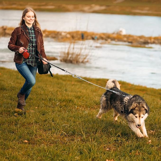 16ft Retractable Dog Leash for Large Breed Dogs up to 110 lbs with a Detachable Chew Proof Extender Wire Ropes (Red L)