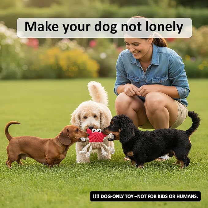 Squeaky Crab Dog Toy with Rope Legs - Durable Chew Toy for Small Dogs | Built-in Whistle & Crinkle Sounds | Teeth Cleaning | Interactive Dog Toys （RED）