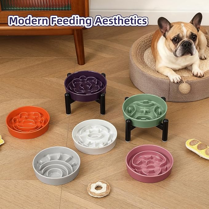 Elevated Slow Feeder Dog Bowl - Ceramic Maze Dog Food Bowl with Stainless Stand - Raised Slow Feeder for Small Breeds to Control Eating Speed - 6.3 Inch - 0.8 Cups (80g) - Purple