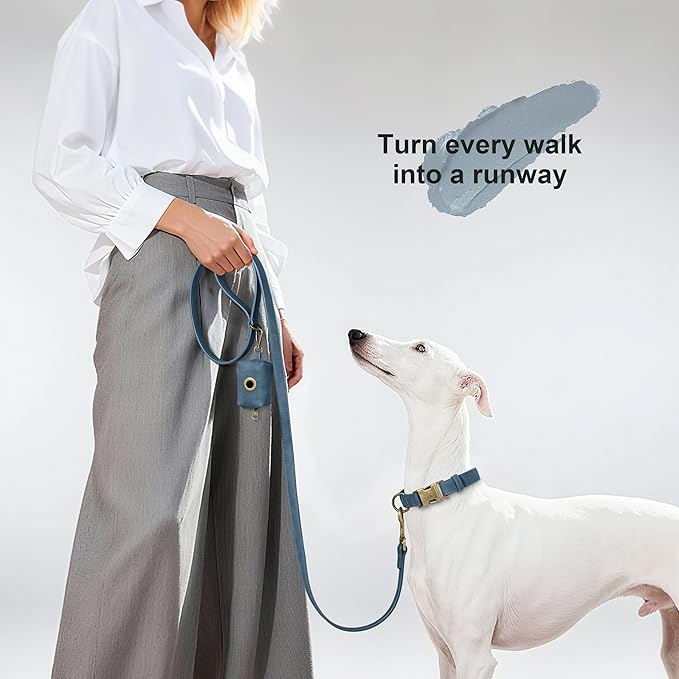 Didog Soft Leather Dog Collar, Durable Heavy Duty Dog Collars with Quick Release Metal Buckle, Adjustable Dog Collar Leather for Medium Small Dogs, Blue, M