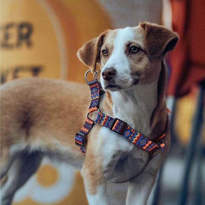 QQPETS Dog Harness Leash Set Adjustable Heavy Duty No Pull Halter Harnesses for Small Medium Large Breed Dogs Back Clip Anti-Twist Perfect for Walking