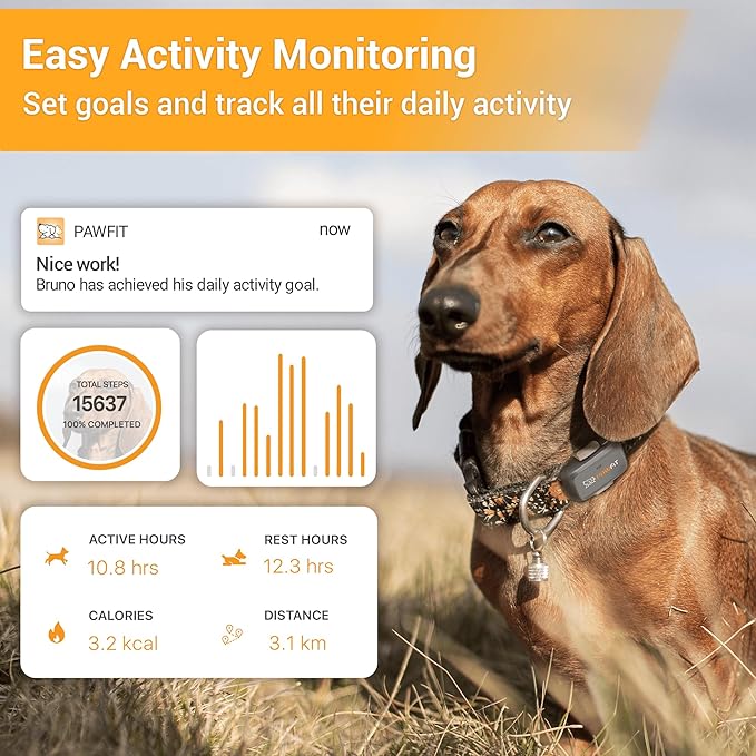Pawfit Lite for Small Dogs 4g GPS Tracker | Real Time Tracking | Activity Monitoring |Location History | Unlimited Range | Simply White