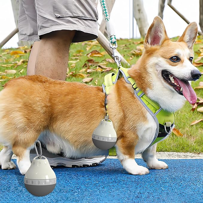 Dog Travel Water Bottle Detachable Bowl Leak Proof Portable ，Silicone Bottle Body，Collapsible and Suitable for Small Pets for Outdoor Walking, Hiking, Travel (Gray, 200ml)